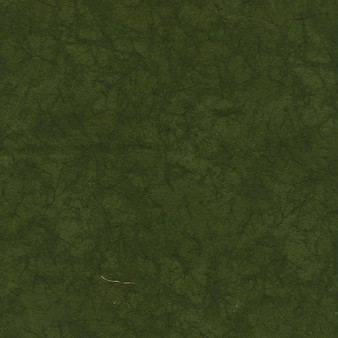 Grasslands Marble Flannel Green